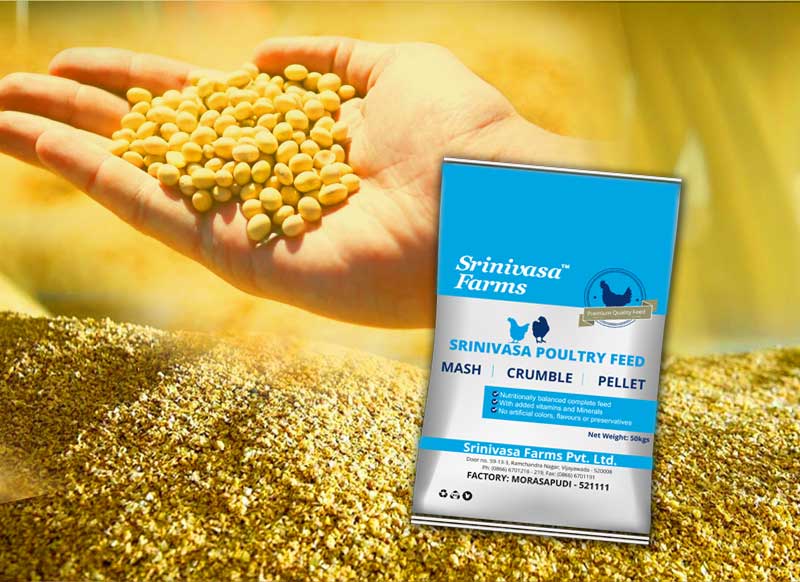 Feed Business Srinivasa Farms